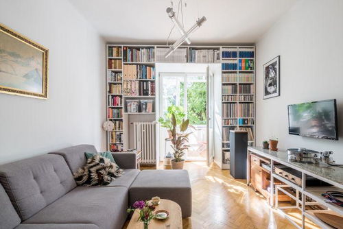 藝術(shù)設(shè)計(jì),55㎡波蘭白色經(jīng)典